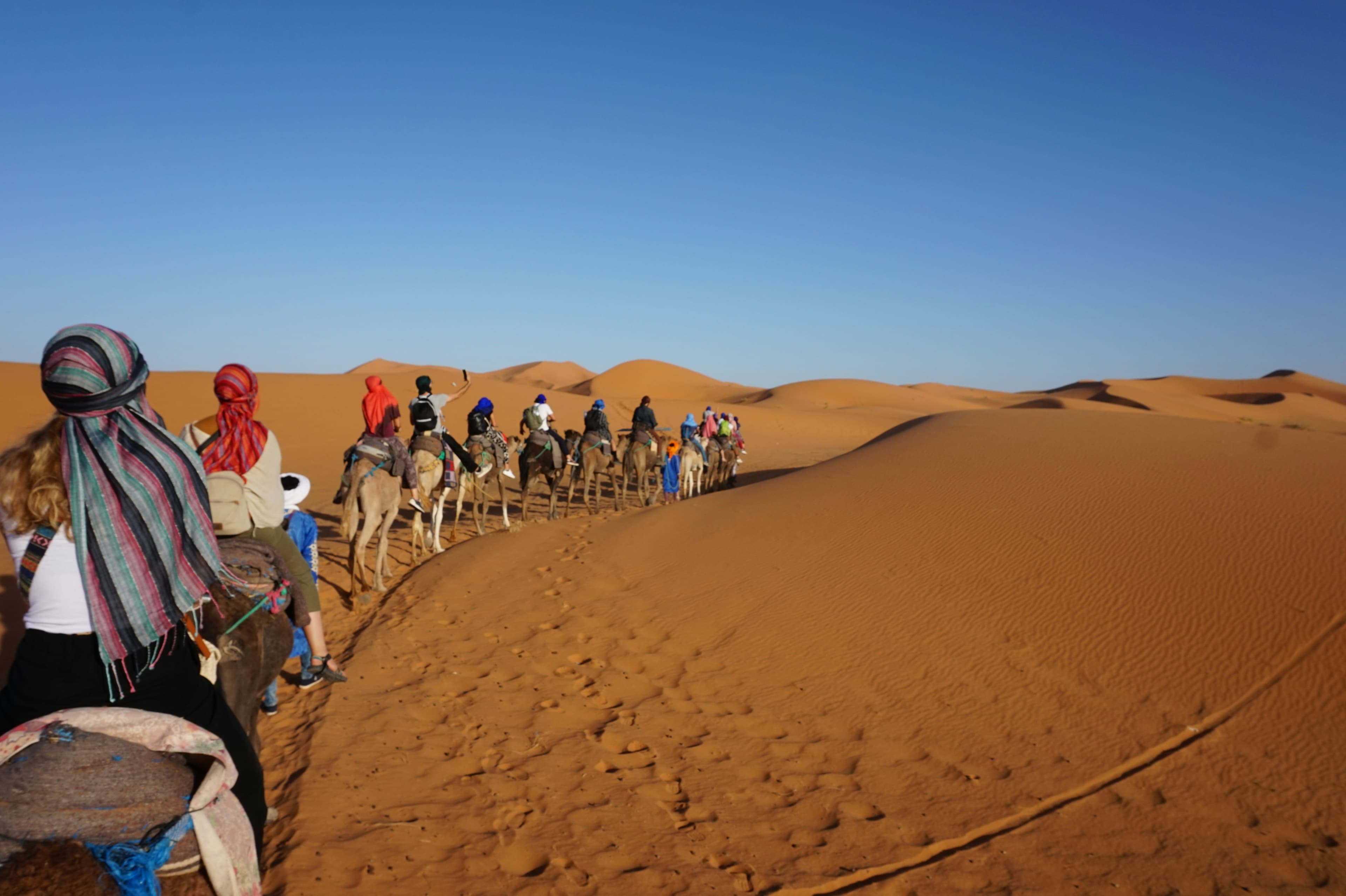 Desert Expeditions